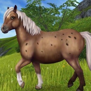 Meet your Posher, Riley